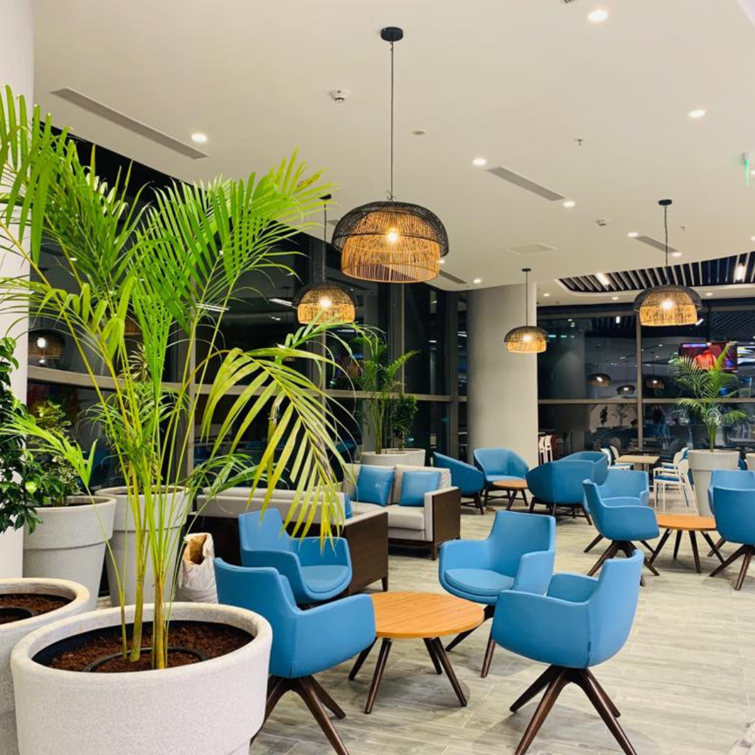 Trimiti Website projects (6)