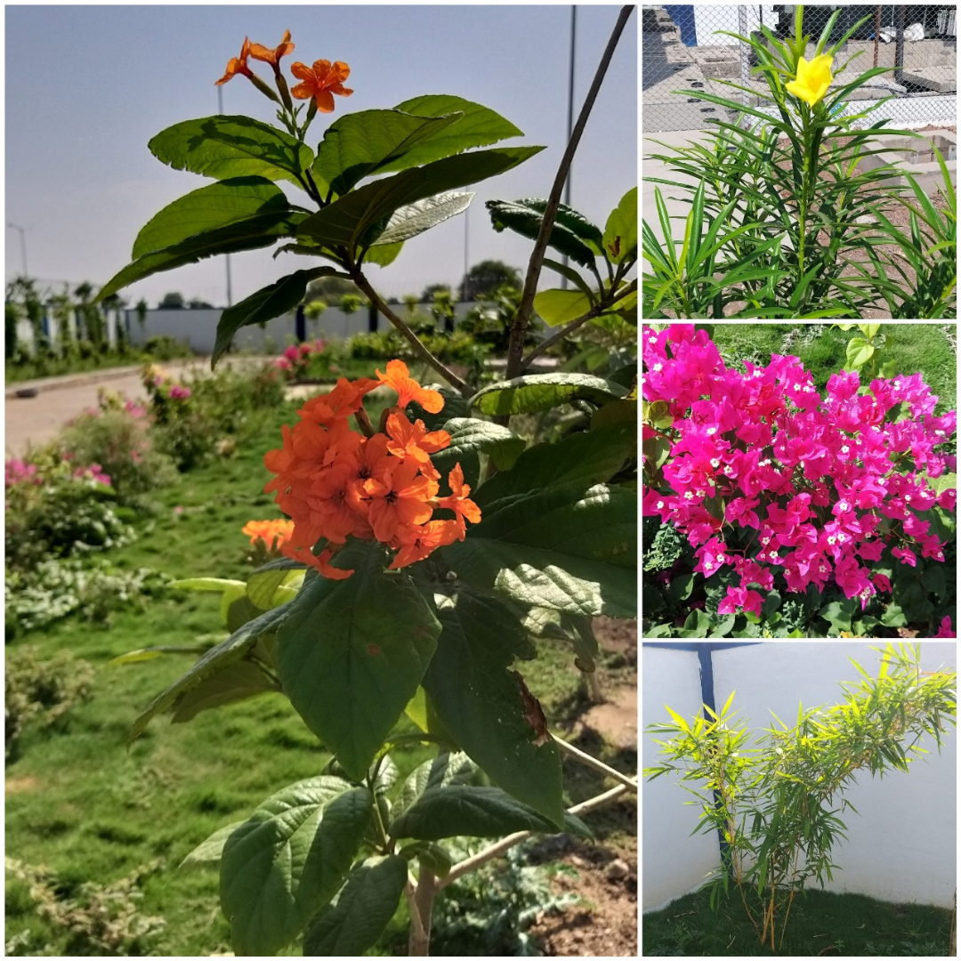 Best Architect and Interior Designer - Trimiti Architect (8)